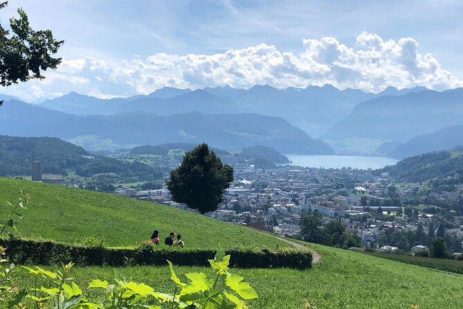 Half-Day Lake Lucerne Country Walk - Flexibility and Cancellation Policy