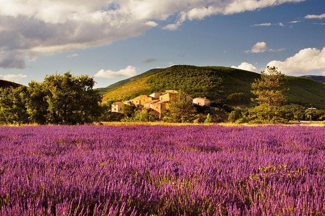 Half Day Lavender Road in Sault from Avignon - Visiting Gordes: A Picturesque Village in Provence