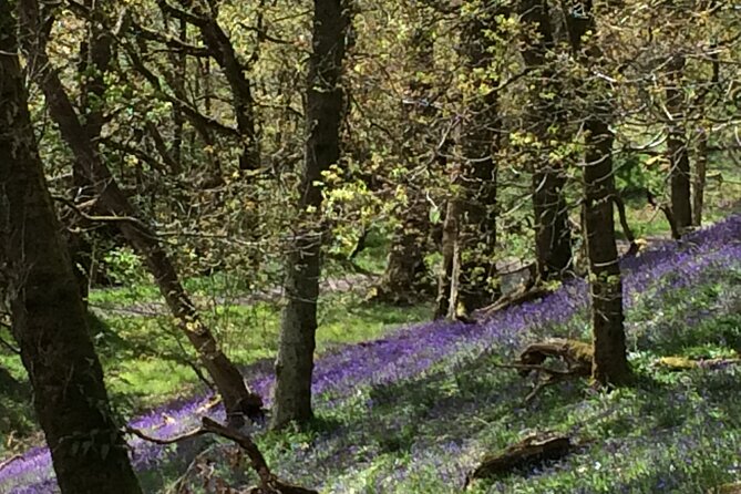 Half Day Loch Katrine Explorer Ebike Tour - Practical Details: Bikes, Equipment, and Amenities