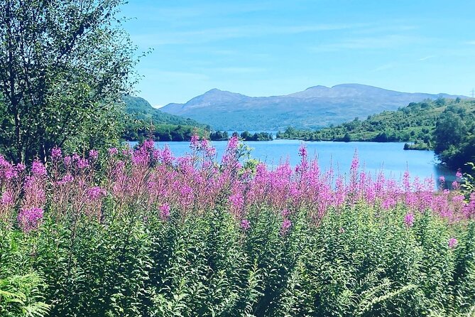 Half Day Loch Katrine Explorer Ebike Tour - Who Will Enjoy This Tour the Most?