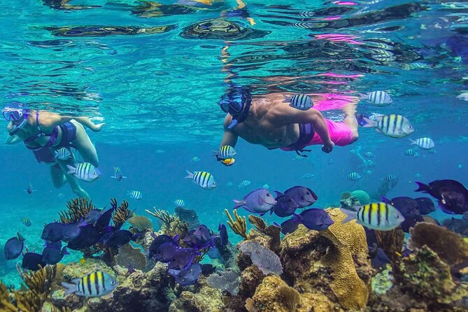 Half-Day Luxury Sailing in Puerto Morelos with Open Bar - Logistics and Meeting Point in Tulum