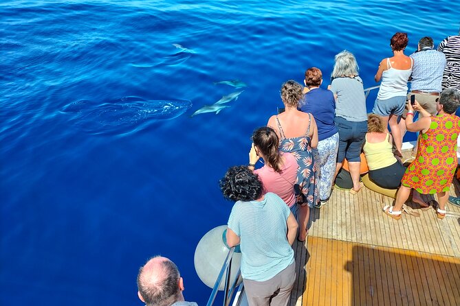 Half Day Madeira Island Cruise with Lunch - What Sets This Tour Apart: Wildlife, Lunch, and Comfort