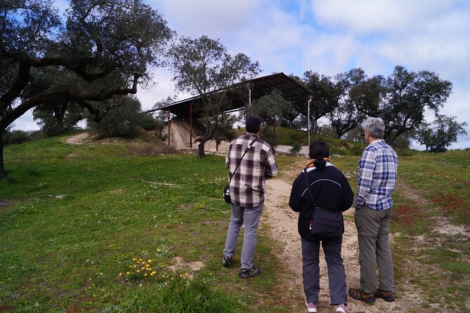 Half Day Megaliths Cromlech Tour from Evora by Archaeologists - The Interpretive Center and Free Time