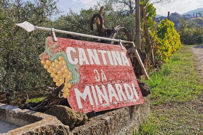 Half-Day Minardi Wine and Food Tour in Frascati - Transportation and Logistics: From Town to Farmhouse