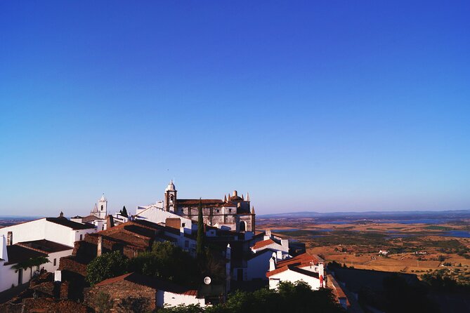 Half Day Monsaraz Tour from Evora by Archaeologists - Why Choose This Monsaraz Tour?