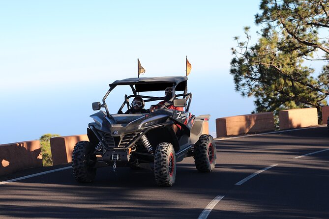 Half Day Morning Buggy Tour in Teide National Park - The Off-Road Driving Experience