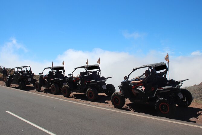 Half Day Morning Buggy Tour in Teide National Park - Flexibility and Cancellation Policy