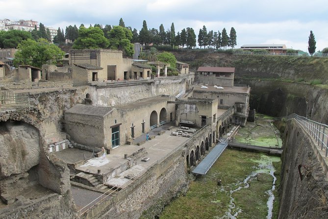 Half Day Morning Tour of Herculaneum from Sorrento - Key Points