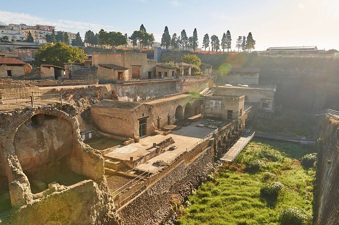 Half Day Morning Tour of Herculaneum from Sorrento - Practical Details: Transport, Group Size, and Timing