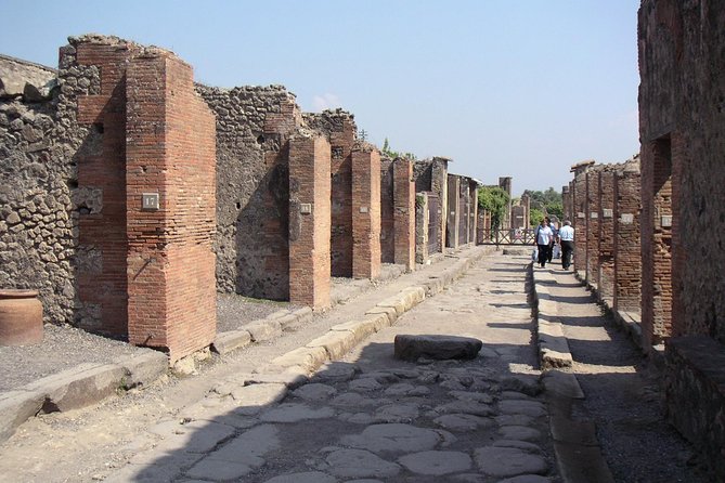 Half Day Morning Tour of Pompeii from Sorrento - The Experience of the Scenic Drive and Commentary