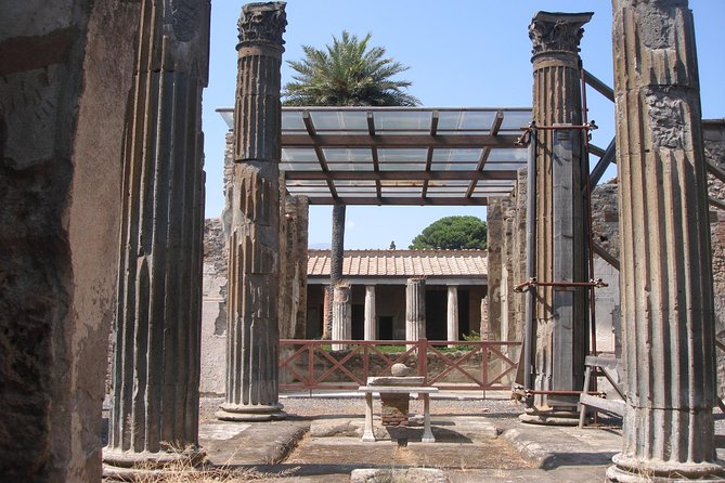 Half Day Morning Tour of Pompeii from Sorrento - The Guide: Knowledgeable and Clear