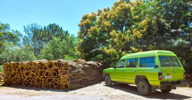 Half-Day Mountain Jeep Safari with firewater tasting - Visiting Monchique: Charm and Nature