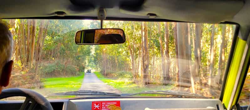 Half-Day Mountain Jeep Safari with firewater tasting - Practical Tips for Participants