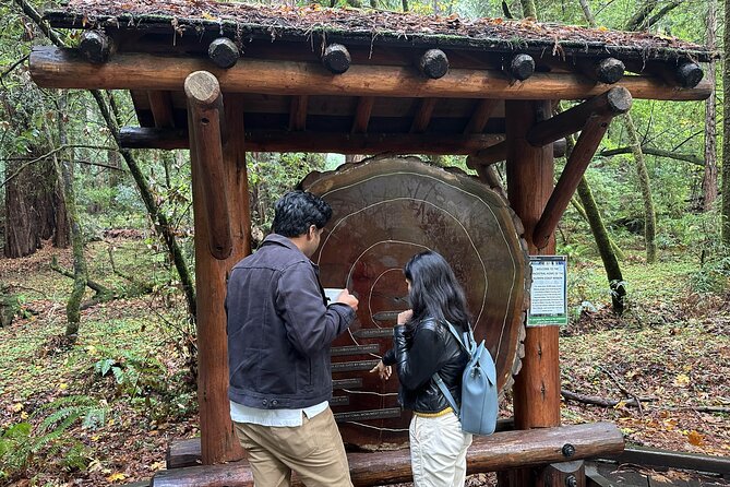 Half-Day Muir Woods & Sausalito Tour with Entry Ticket Included - The Return Journey and Optional Ferry Ride