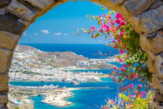 Half Day Mykonos Shore Excursion from Cruise Port - Key Points