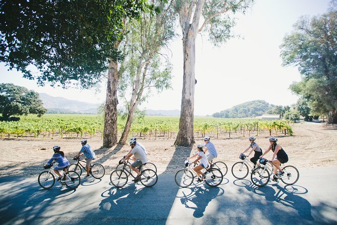 Half-Day Napa Valley E-Bike Tour - Exploring the Scenic Vineyards by E-Bike
