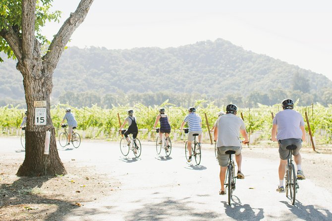Half-Day Napa Valley E-Bike Tour - The Experience with Guides and Reviews