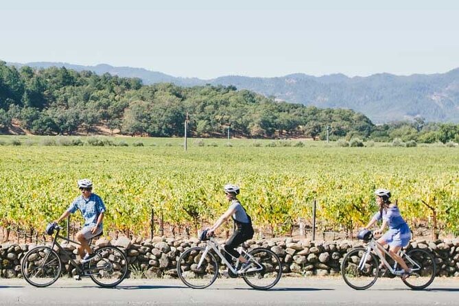 Half-Day Napa Valley E-Bike Tour - Who Will Enjoy This Tour Most