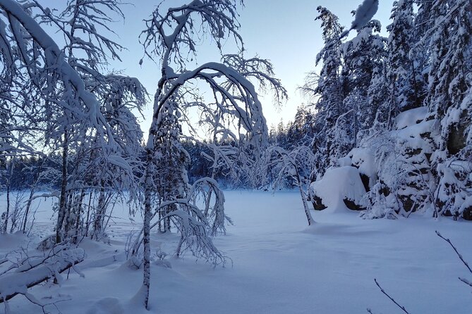 Half-Day Nature Adventure to Nuuksio National Park from Helsinki - Key Points