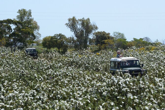 Half-Day Nature Safari in the Algarve - Visits to Salt and Cork Production Sites