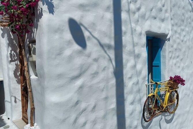 Half-Day Naxos Old Town, Castle and Apollo Temple Private Tour - Why Choose This Private Naxos Tour?