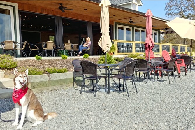 Half-Day North Georgia Wine Country Tour From Atlanta - What’s Included in the Tour