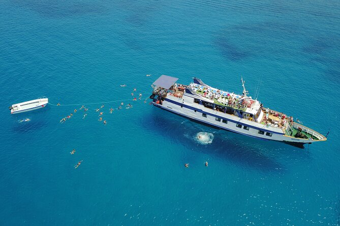 Half-Day Odyssey Guided Boat Safari with Lunch in Cyprus - An Exciting Half-Day Adventure in Cyprus for Marine Enthusiasts