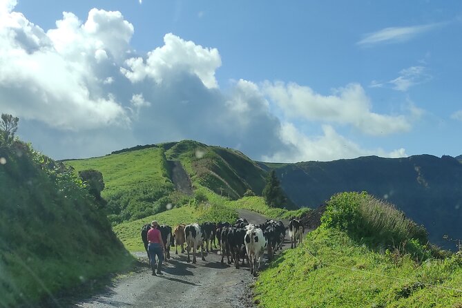 Half Day Off Road Tour in Azores - Muro das Nove Janelas: The Historic Aqueduct