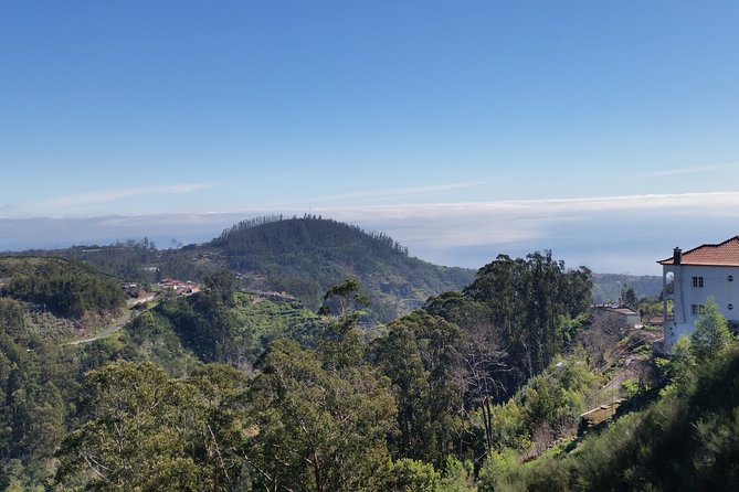 Half-Day Paradise Valley Walking Tour - Who Will Enjoy This Tour Most?