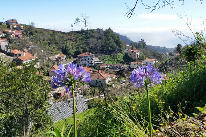 Half-Day Paradise Valley Walking Tour - The Sum Up: A Relaxed and Scenic Introduction to Madeira