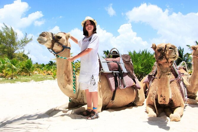 Half-Day Parasailing and Camel Caravan Tour in Maroma Beach - Key Points