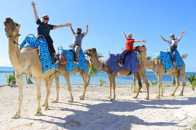 Half-Day Parasailing and Camel Caravan Tour in Maroma Beach - Additional Fees and Considerations