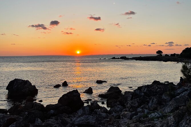 Half Day Princes' Islands Tour - Optional Bike Rentals for Personal Exploration