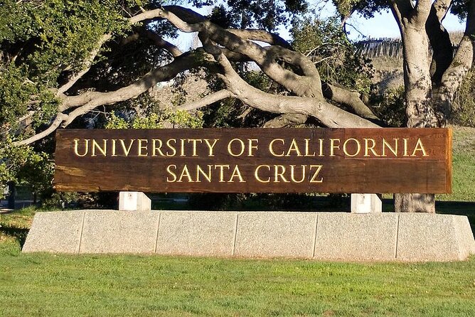 Half Day Private Beach Tour in Santa Cruz - Who Will Enjoy This Private Santa Cruz Beach Tour?