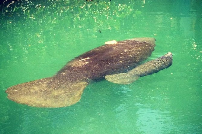 Half Day Private Boat Tour - The Experience of a USCG-Licensed Captain