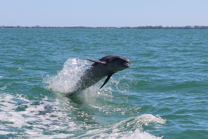 Half Day Private Boat Tour - Why Choose This Private Boat Tour in Islamorada?