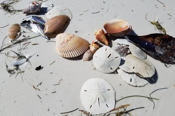 Half-Day Private Boating On Black Hurricane - Indian Rocks Beach - Inclusions Enhancing the Experience