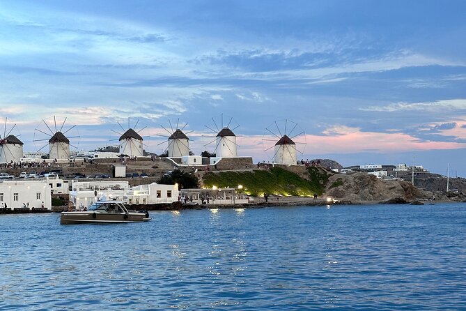 Half-Day Private Cruise with Kaiki around Mykonos - Key Points