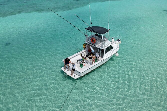 Half Day Private Fishing Charter in Cozumel - Who Will Enjoy This Cozumel Fishing Tour?