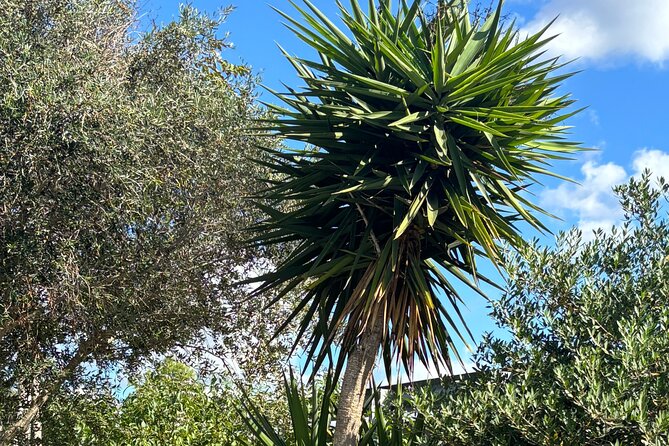 Half Day Private Guided Exclusive Hiking Experiences in Menorca - Cost-Effective and Well-Equipped