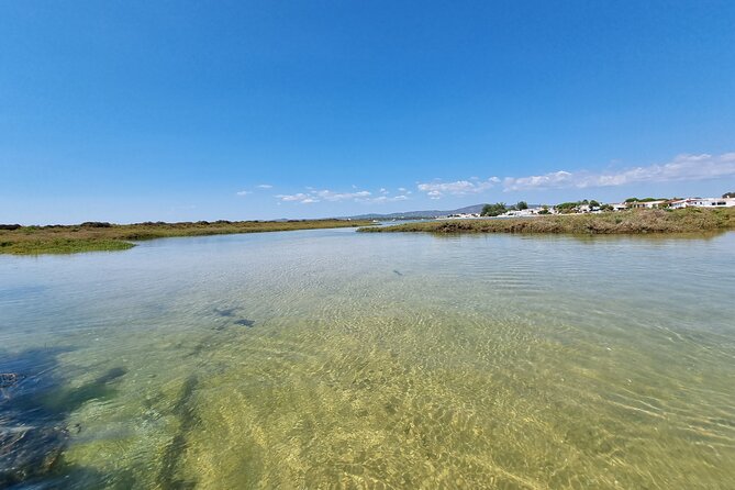 Half-Day Private Guided Kayak Island Tour - The Equipment and Comfort Features of the Tour