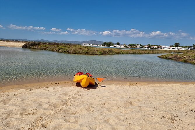 Half-Day Private Guided Kayak Island Tour - Guides and Their Approach