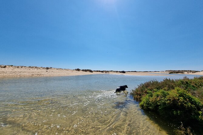 Half-Day Private Guided Kayak Island Tour - Flexibility and Customization: Making the Tour Your Own