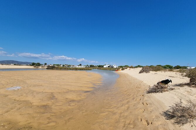 Half-Day Private Guided Kayak Island Tour - Practical Details and Booking Considerations