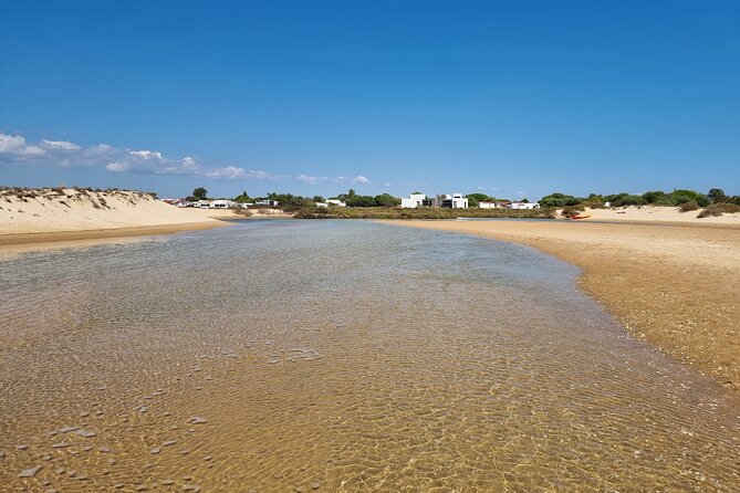 Half-Day Private Guided Kayak Island Tour - Who Will Enjoy This Tour Most?