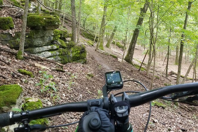 Half-Day Private Guided Mountain Bike Tour in Bentonville - Starting Point at Slaughter Pen Trails