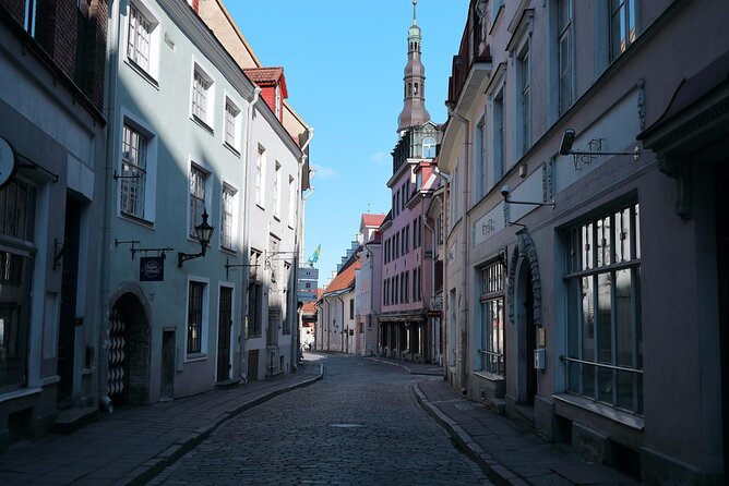 Half-Day Private Guided Sightseeing Tour of Tallinn - Highly Praised for Knowledgeable Guides and Views