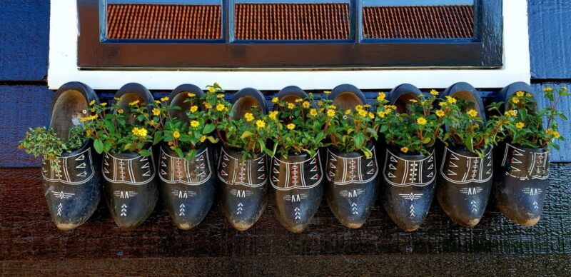 Half-Day Private Guided Sightseeing Tour of Zaanse Schans - Practicalities and Costs: What’s Included and What to Budget