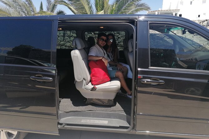 Half-Day Private Guided Tour in Mykonos - Passing by the Beaches of Kalo Livadi and Agia Anna