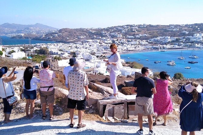 Half-Day Private Guided Tour in Mykonos up to 6 - Scenic Drive to Agios Ioannis and Beach Stops